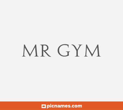 Mr Gym